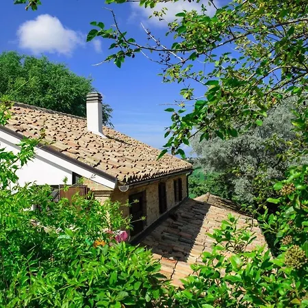 Civetta-Wohnung-Kleines-Nest Castel Colonna
